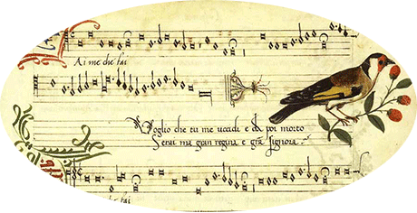 manuscript_bird